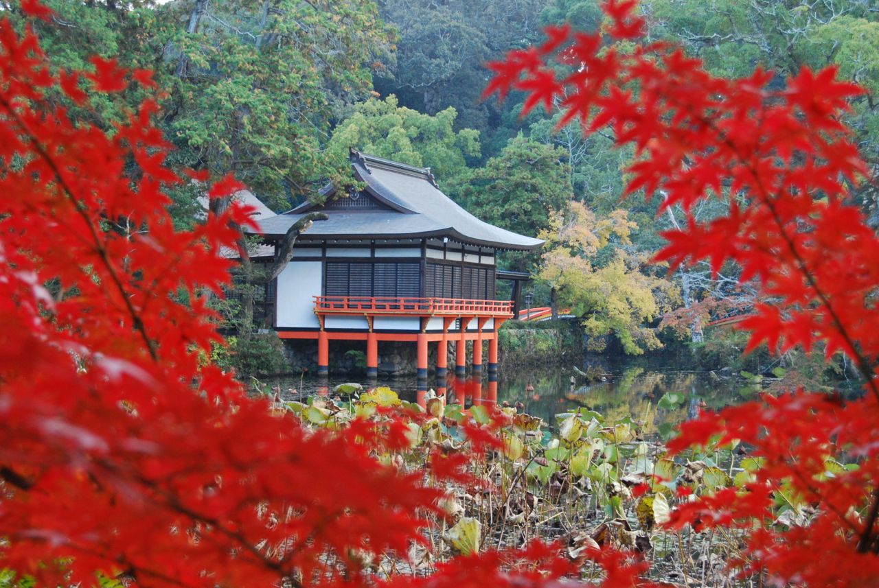 4clipika Hindi Fonts Downloads